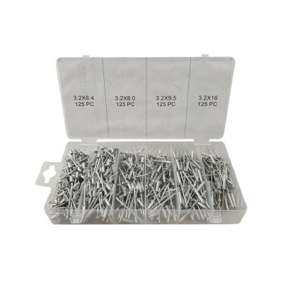 Rivets 500pcs assortiment