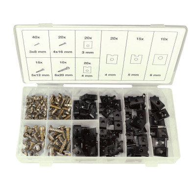 Assortiment de vis et agrafes de carrosserie 170 pcs
