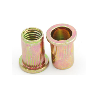 Blindklinkmoeren staal M10 10 stuks