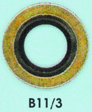Carterdichting - bs - 11.8x19.1 - type 3