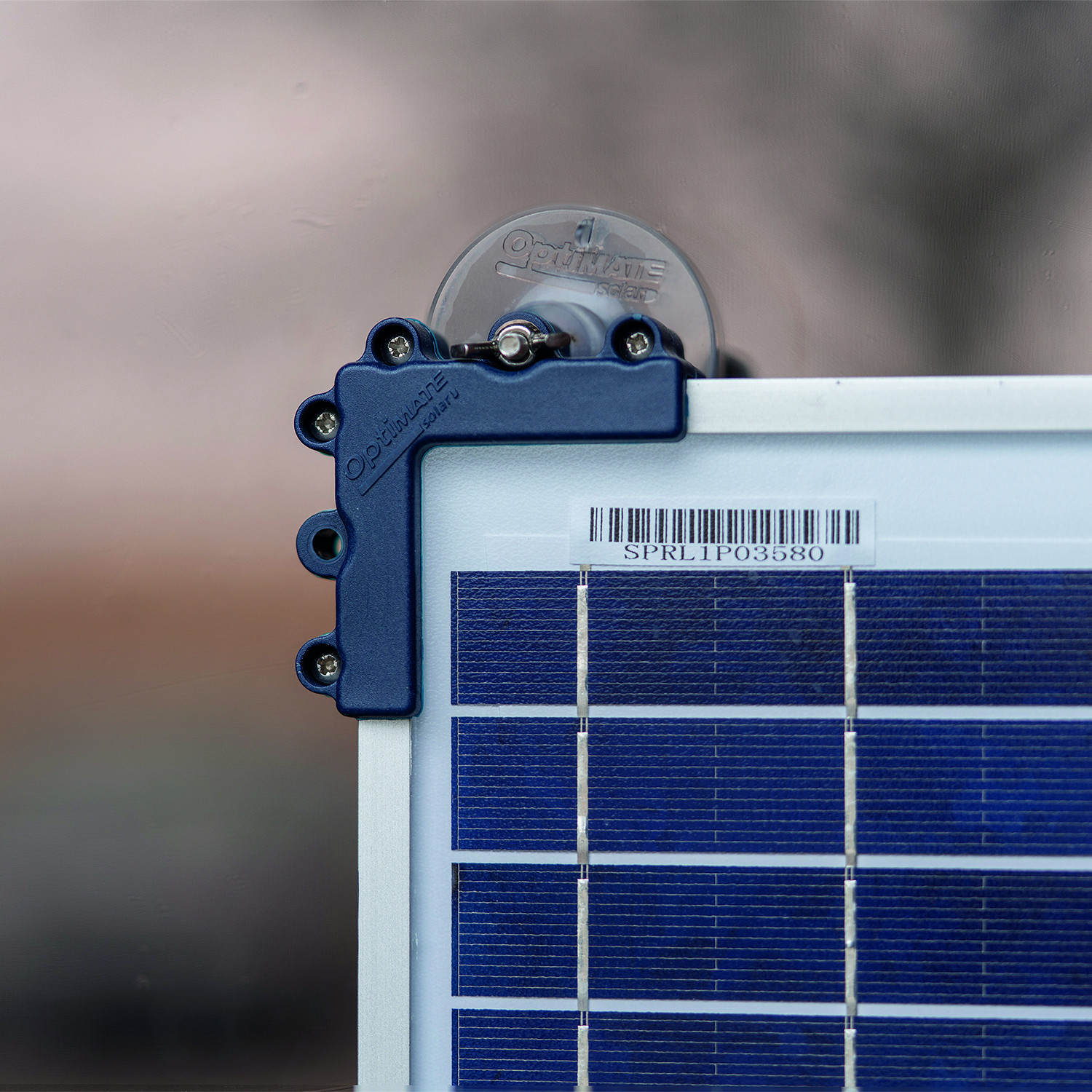 Kit zuignappen voor Optimate Solar panelen