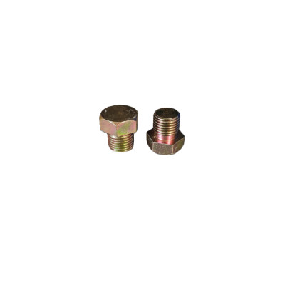 Losse carterplug M15